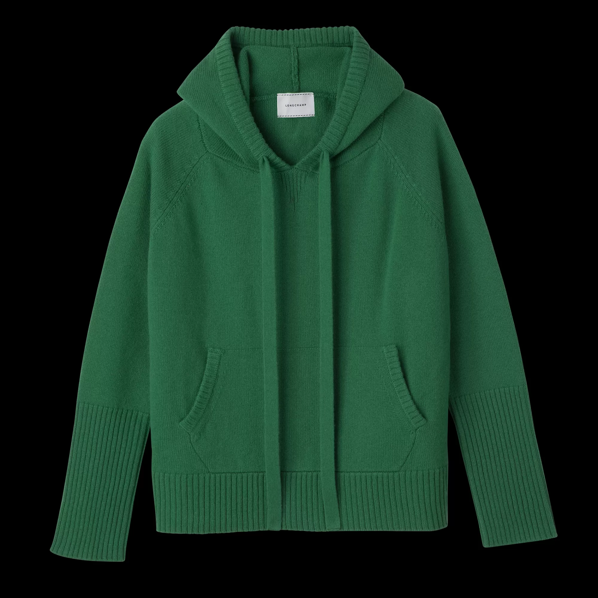 Tops & Blouses | Maille>Longchamp Pull à Capuche Vert